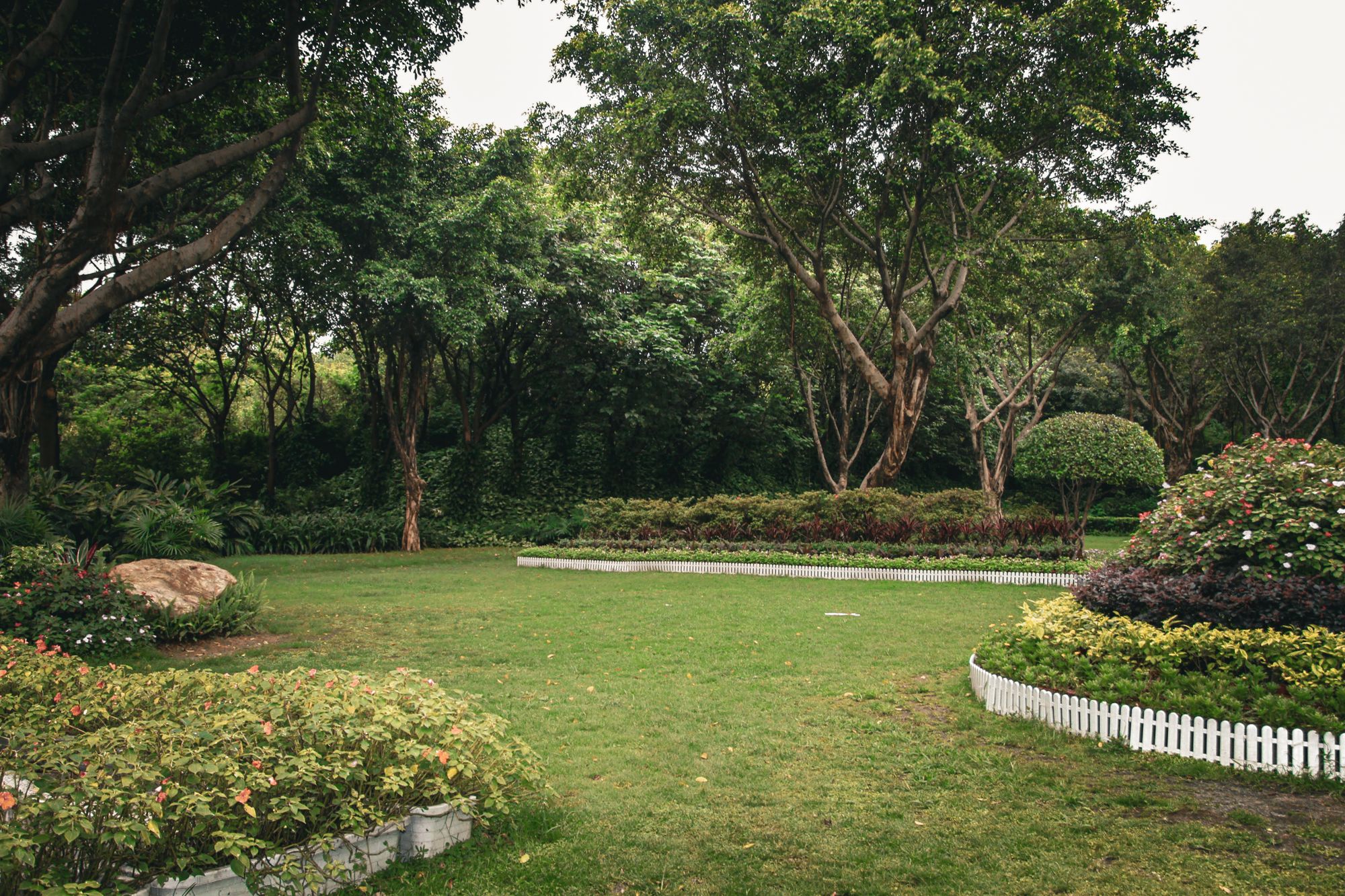 Maintained garden with a lawn, established trees and planted borders — stock photograph